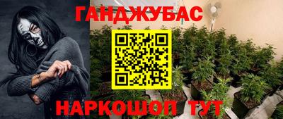 СК Шелехов