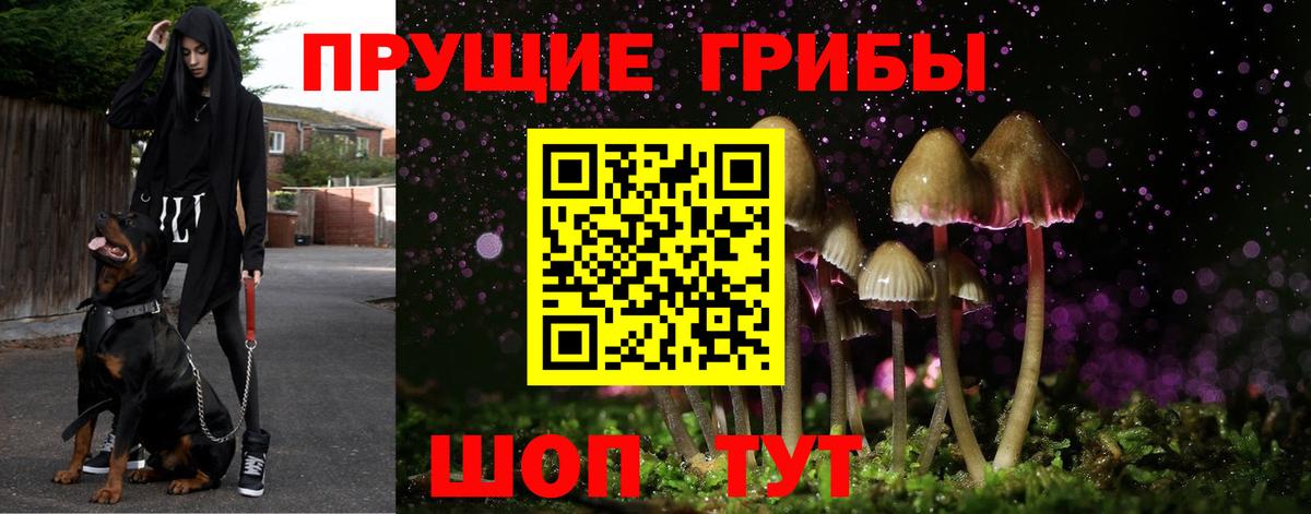 сколько стоит  Вход с VPN  Псилоцибиновые грибы Psilocybine cubensis  Великие Луки  Псилоцибиновые грибы ЛСД 