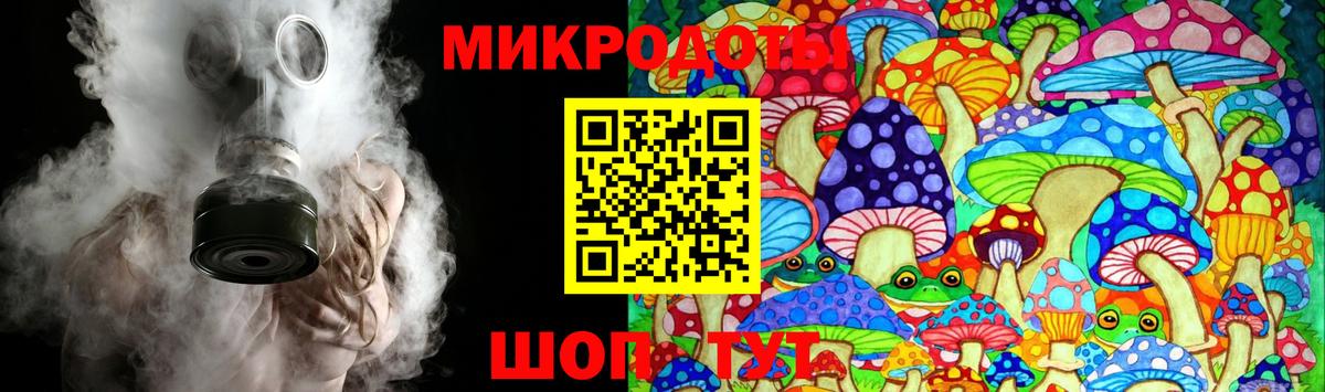 Галлюциногенные грибы Psilocybine cubensis Великие Луки